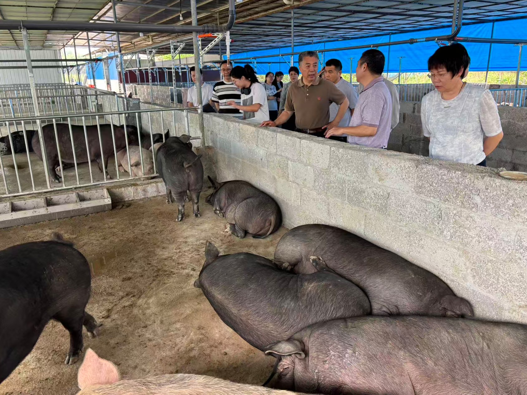 赵海老师莅临广西助农生态养殖基地调研8.jpg