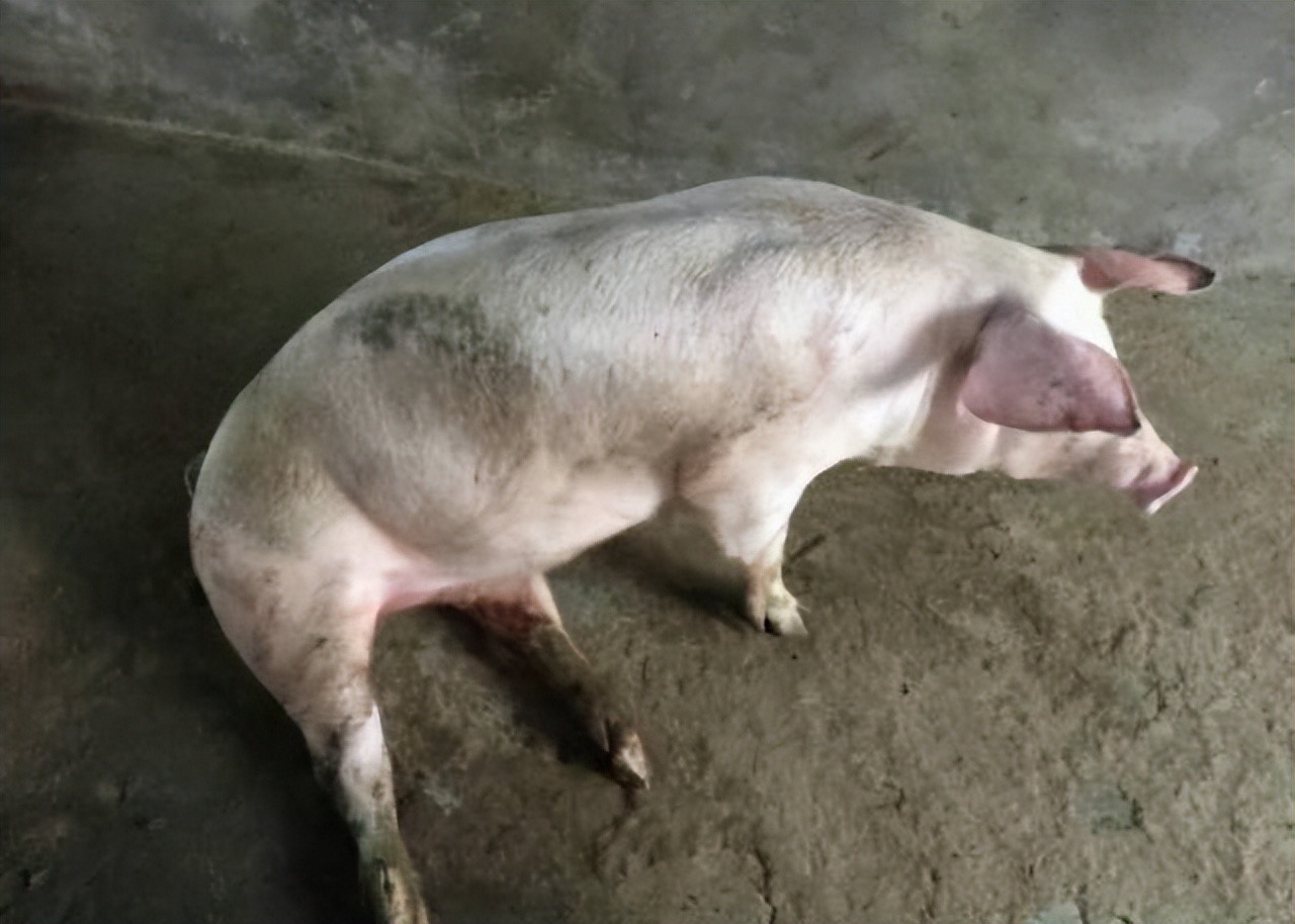 微信图片_20260331091428.jpg 微信图片_20260331091428.jpg