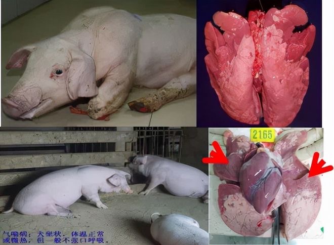 微信图片_20260331091817.jpg 微信图片_20260331091817.jpg