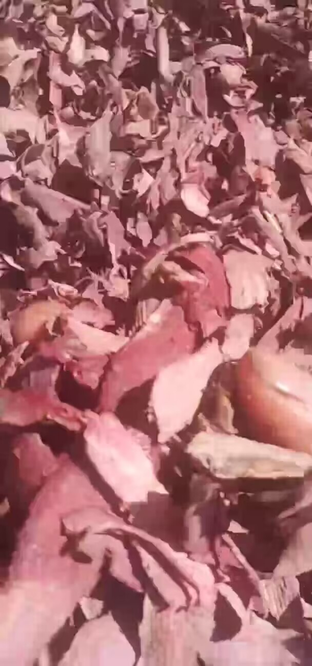 QQ图片20230609122527.jpg QQ图片20230609122527.jpg