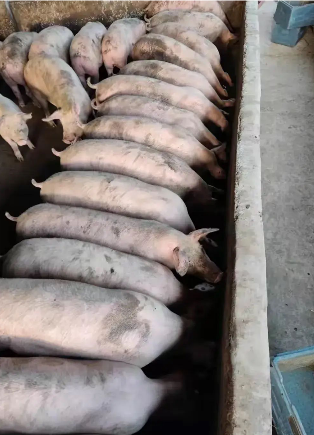 QQ图片20250507131705.png QQ图片20250507131705.png