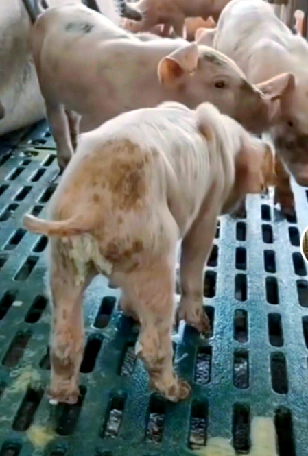 微信截图_20260407093906.jpg 微信截图_20260407093906.jpg