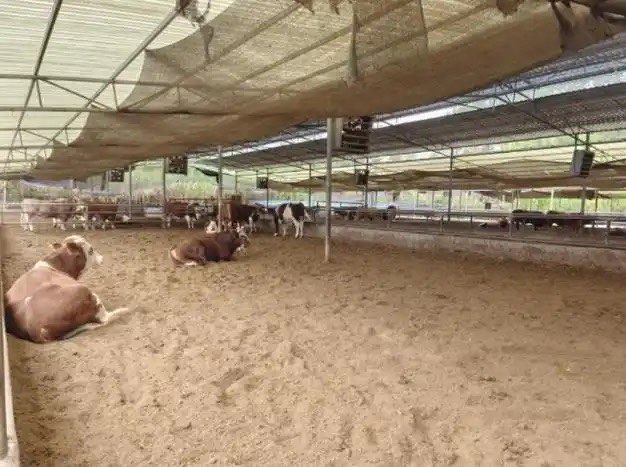 QQ图片20260407160507.jpg QQ图片20260407160507.jpg