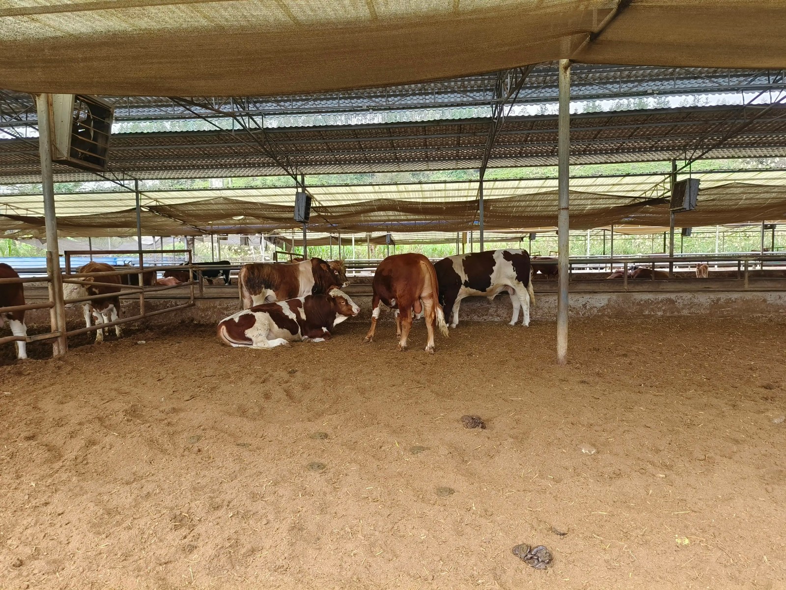 QQ图片20260407160545.jpg QQ图片20260407160545.jpg