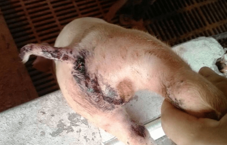 微信截图_20260408092924.jpg 微信截图_20260408092924.jpg