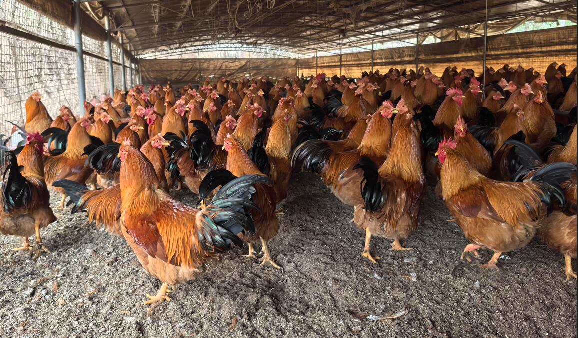 QQ图片20250226124652.jpg QQ图片20250226124652.jpg