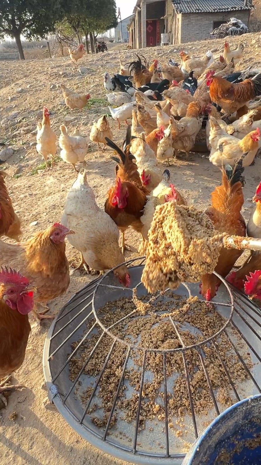 QQ图片20260408135644.jpg QQ图片20260408135644.jpg