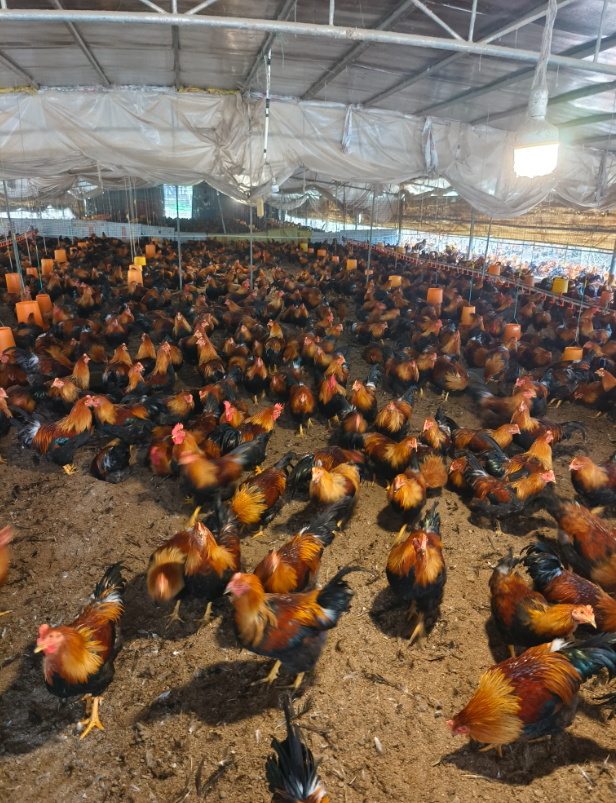 QQ图片20250325135904.png QQ图片20250325135904.png