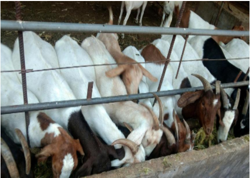 035e16f59c0bb3917c00f35cde2155e2_17746020706325178.png 035e16f59c0bb3917c00f35cde2155e2_17746020706325178.png