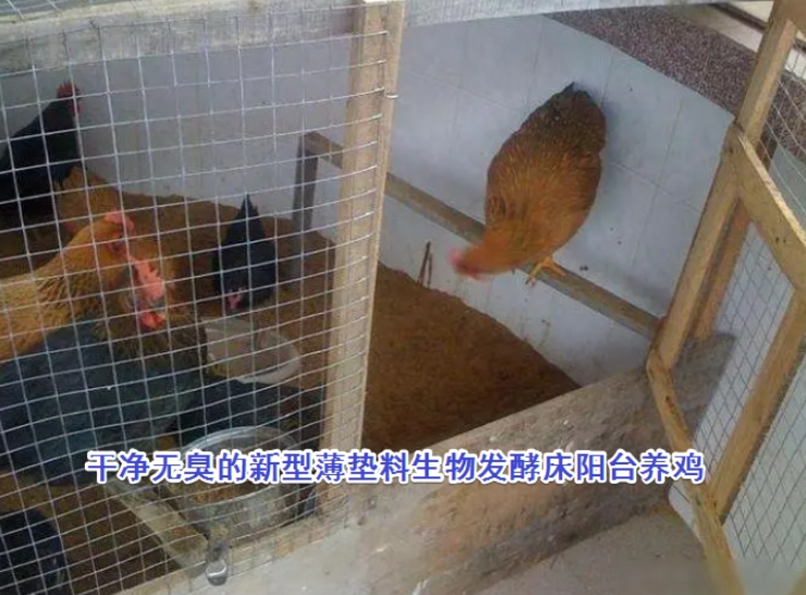 17732808728101530.jpg 17732808728101530.jpg