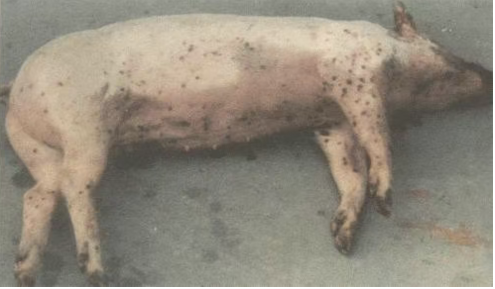 截屏2026-04-09 15.25.28.png