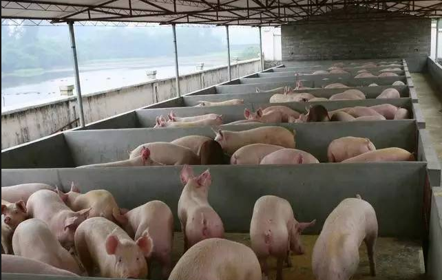 17636876229975661.png 17636876229975661.png