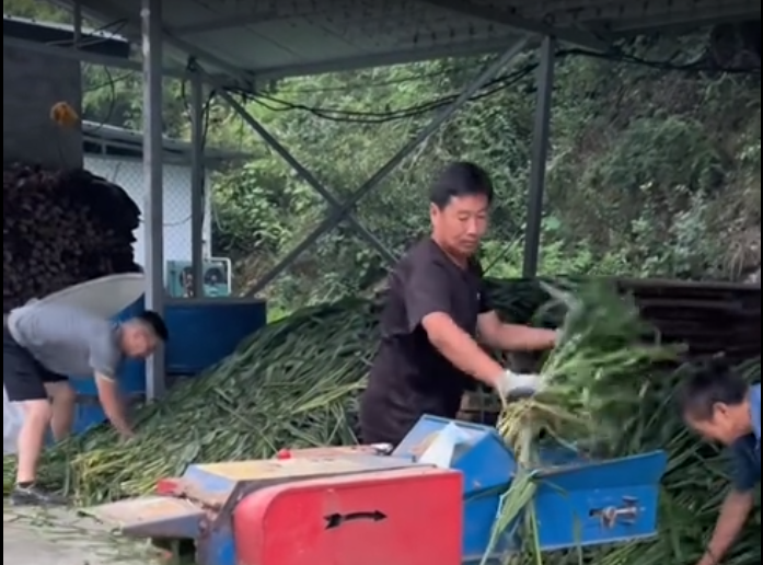 截图20260411092723.png 截图20260411092723.png