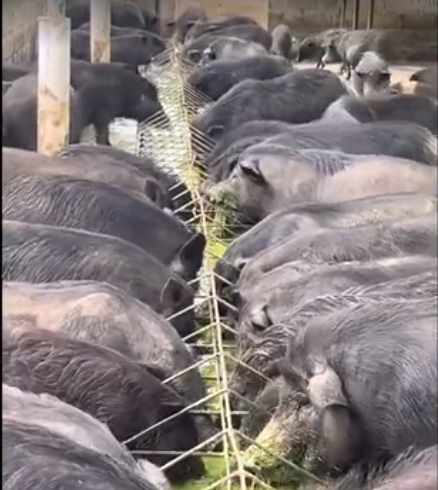 截图20260411092633.png 截图20260411092633.png