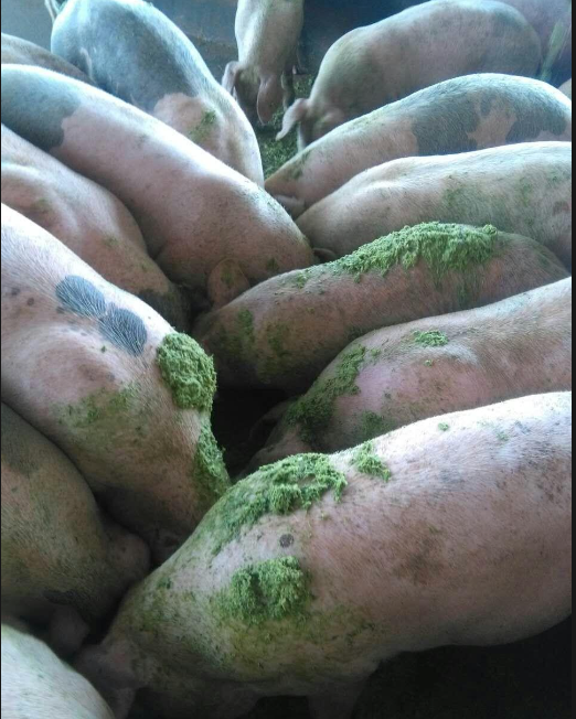 截图20260321094140.png 截图20260321094140.png