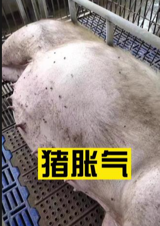 截图20260413152938.png 截图20260413152938.png