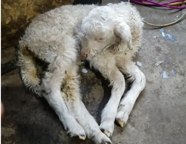 QQ图片20260413153101.png QQ图片20260413153101.png