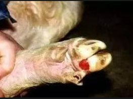 截图20260414095007.png 截图20260414095007.png