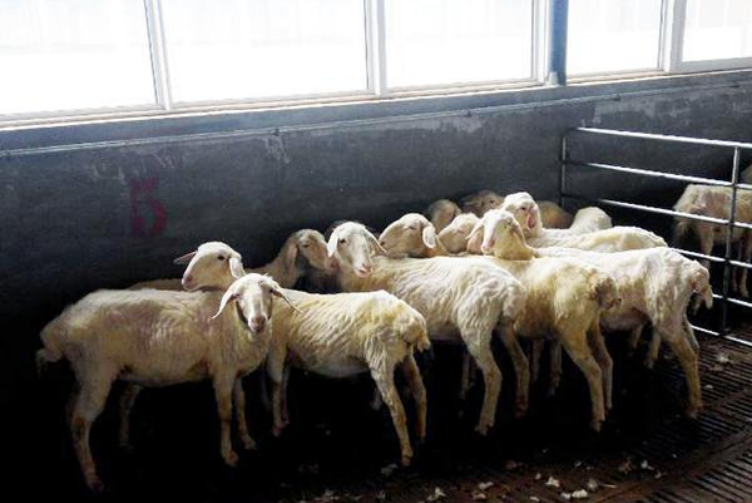 QQ图片20260414143206.png QQ图片20260414143206.png