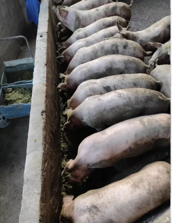 截屏2026-04-24 16.41.43.png