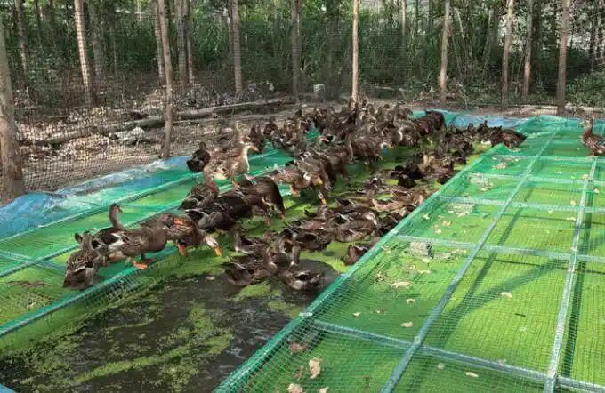 e360665324ed8ff7d4ec857ccbf72322.jpg