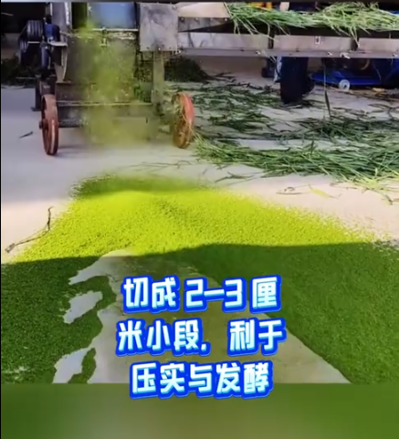 截图20260320095005.png