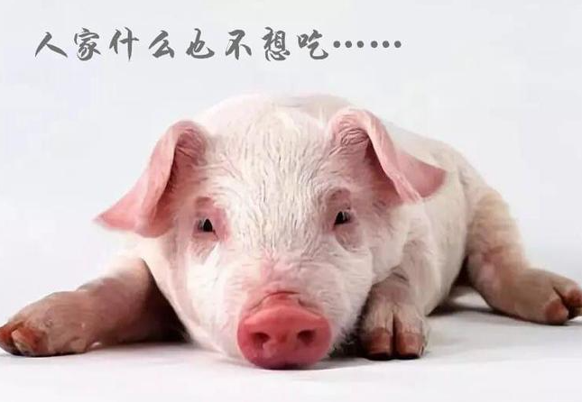 截图20260512143855.png