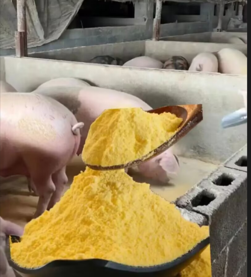 image.png image.png