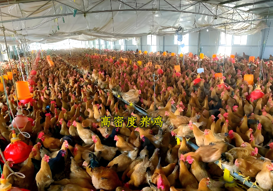 QQ图片20260519141219.png