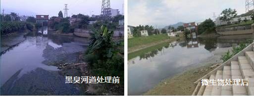 黑臭河沟治理前后1.jpg 黑臭河沟治理前后1.jpg