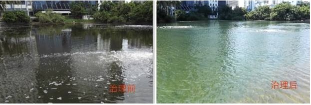 黑臭河沟治理前后2.jpg 黑臭河沟治理前后2.jpg