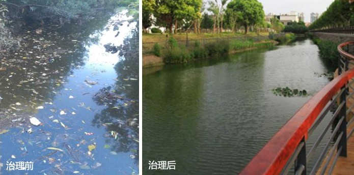 黑臭河沟治理前后4.jpg 黑臭河沟治理前后4.jpg