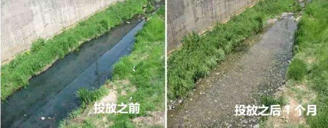 黑臭河沟治理前后5.jpg 黑臭河沟治理前后5.jpg