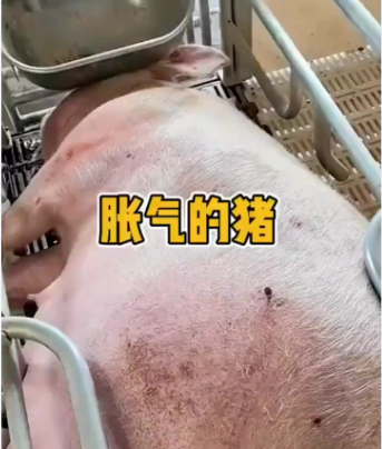 截图20260525142511.png