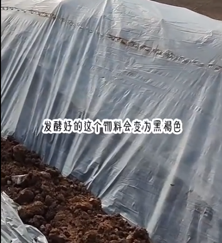 截图20260602091433.png