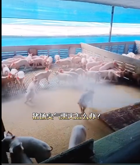 截图20260603091450.png