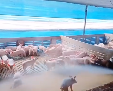 截图20260603091811.png