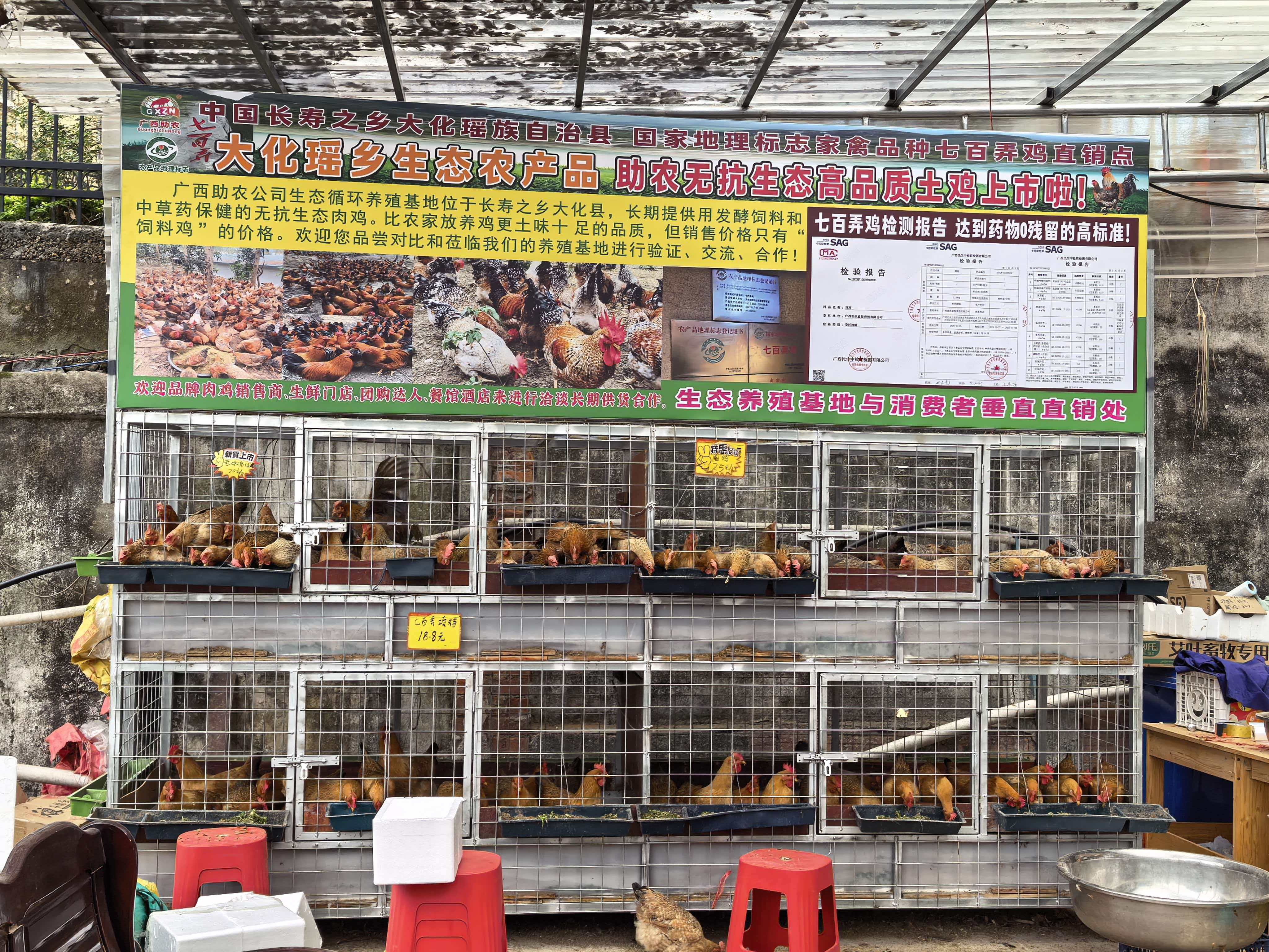 发酵饲料肉鸡销售点.jpg 发酵饲料肉鸡销售点.jpg