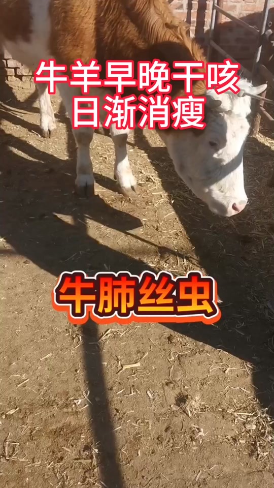微信图片_20260609100948.jpg