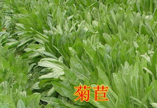 截图20260610091428.png