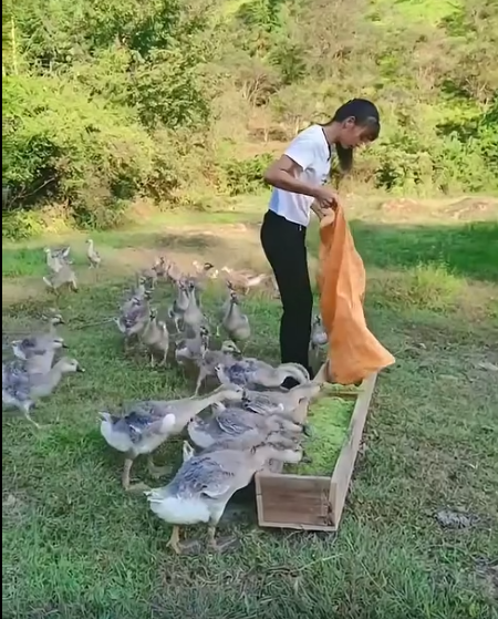 截图20260613093844.png