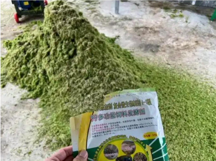 QQ图片20260512162521.png QQ图片20260512162521.png