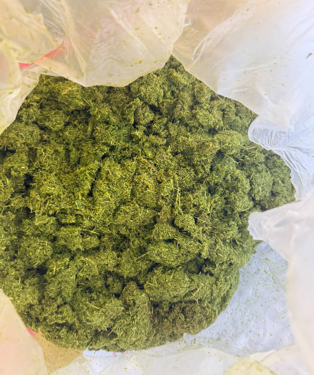 image.png image.png