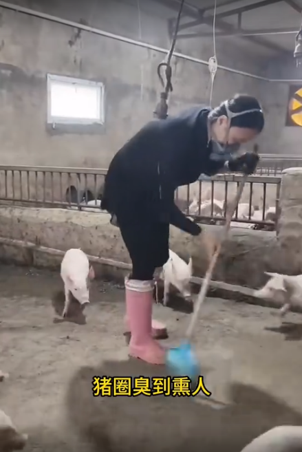 截图20260626094852.png 截图20260626094852.png
