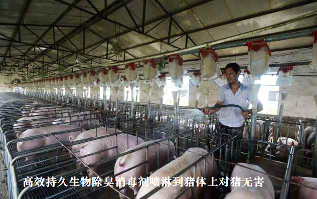QQ图片20260626135111.png QQ图片20260626135111.png