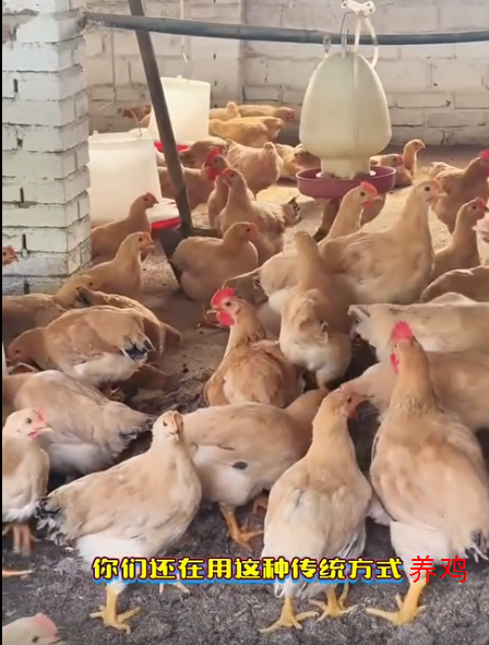 截图20260630091858.png 截图20260630091858.png
