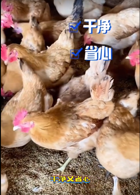 截图20260630093951.png 截图20260630093951.png