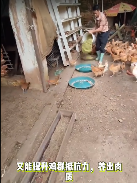 截图20260704092326.png 截图20260704092326.png