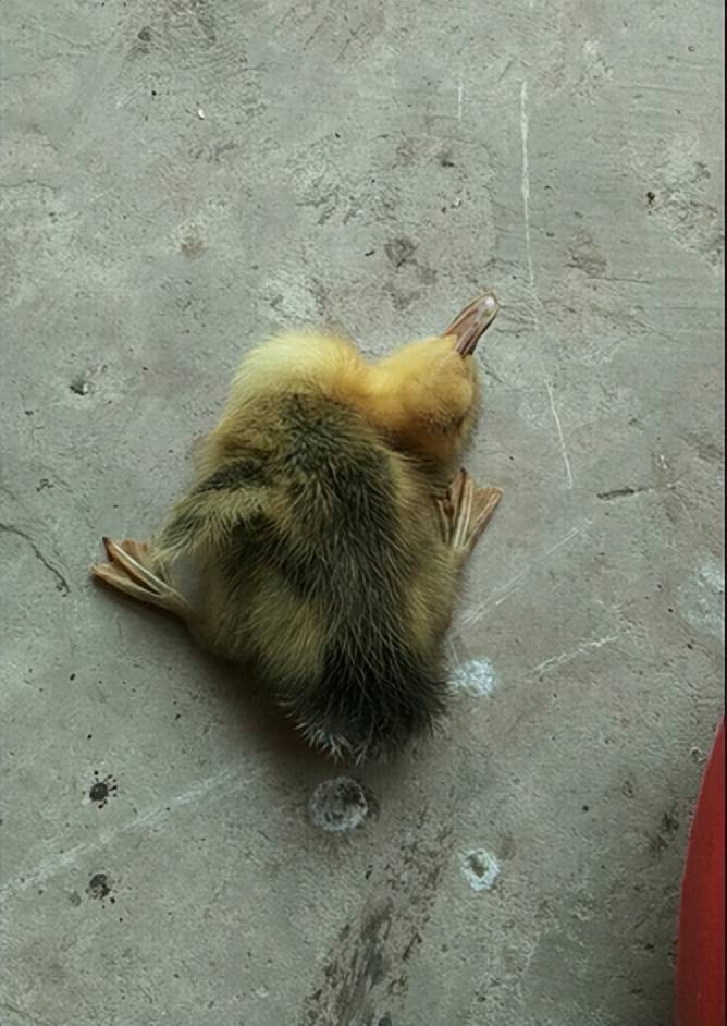 微信图片_20260715091042.jpg 微信图片_20260715091042.jpg