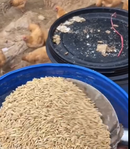 截图20260716093219.png 截图20260716093219.png